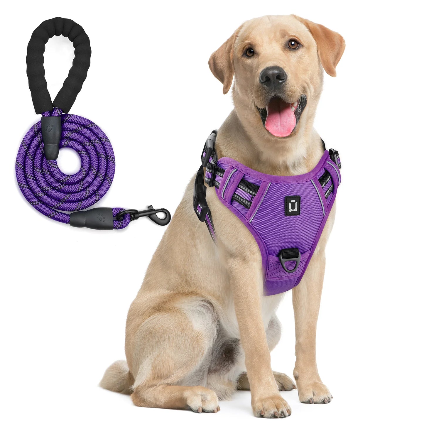 Dog Harness and Leash Combo, Escape Proof No Pull Vest Harness, with 5 Feet Leash, Reflective Adjustable Soft Padded Pet Harness - Walks Made Worry-Free — The Harness That Keeps Your Best Friend Safe, Happy, and Close.