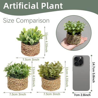 FLOWER Green Artificial Home Decoration: Bring Calm Into Your Home — The Little Green Touch That Changes Everything