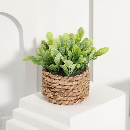 FLOWER Green Artificial Home Decoration: Bring Calm Into Your Home — The Little Green Touch That Changes Everything