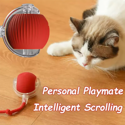 SmartMotion Pet Ball – The Smart Play Companion That Keeps Your Pet Energized, Curious, and Joyful All Day Long