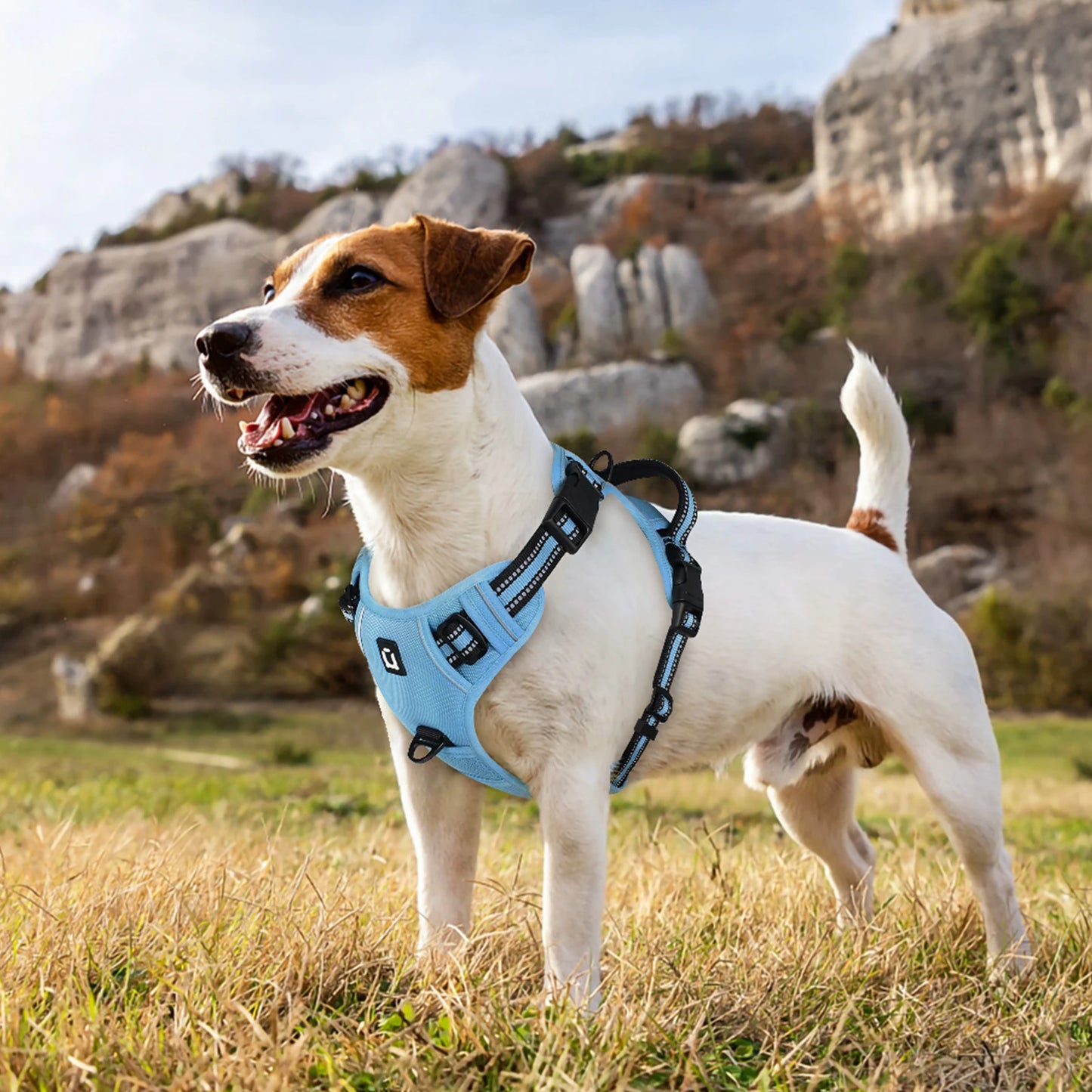 Dog Harness and Leash Combo, Escape Proof No Pull Vest Harness, with 5 Feet Leash, Reflective Adjustable Soft Padded Pet Harness - Walks Made Worry-Free — The Harness That Keeps Your Best Friend Safe, Happy, and Close.